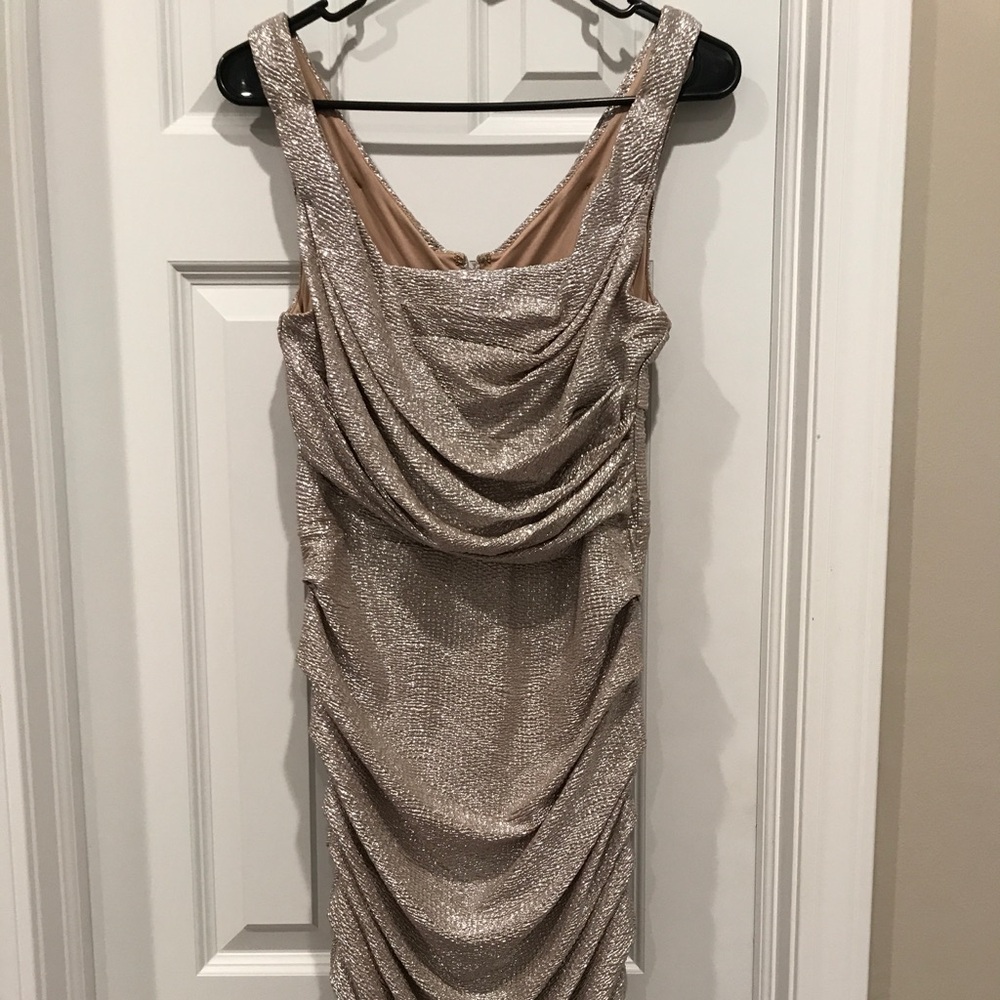 Express Shimmering Silver Dress